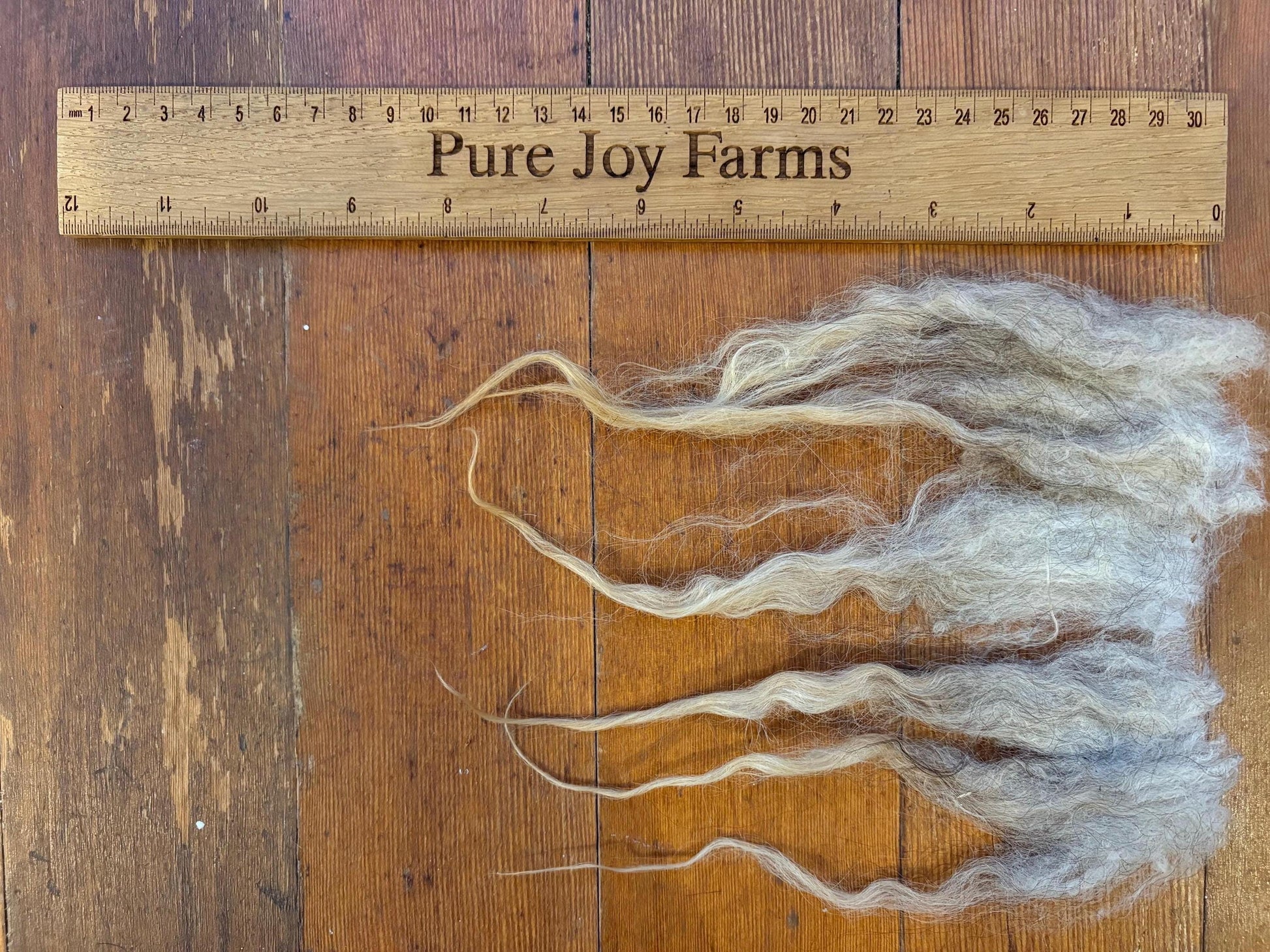 Icelandic Lamb Raw Wool Fleece (Fall Shearing)