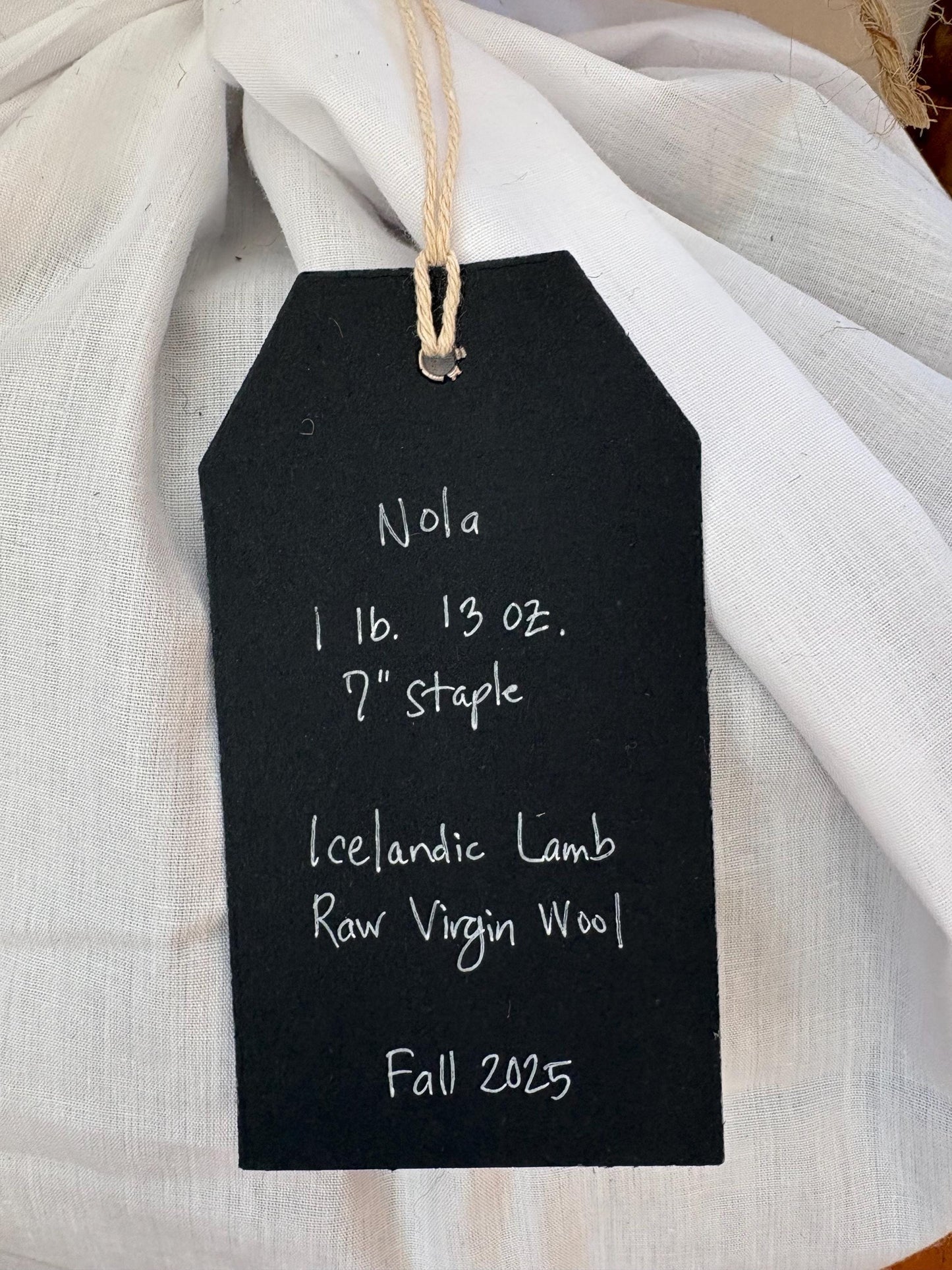 Icelandic Lamb Raw Wool Fleece (Fall Shearing)