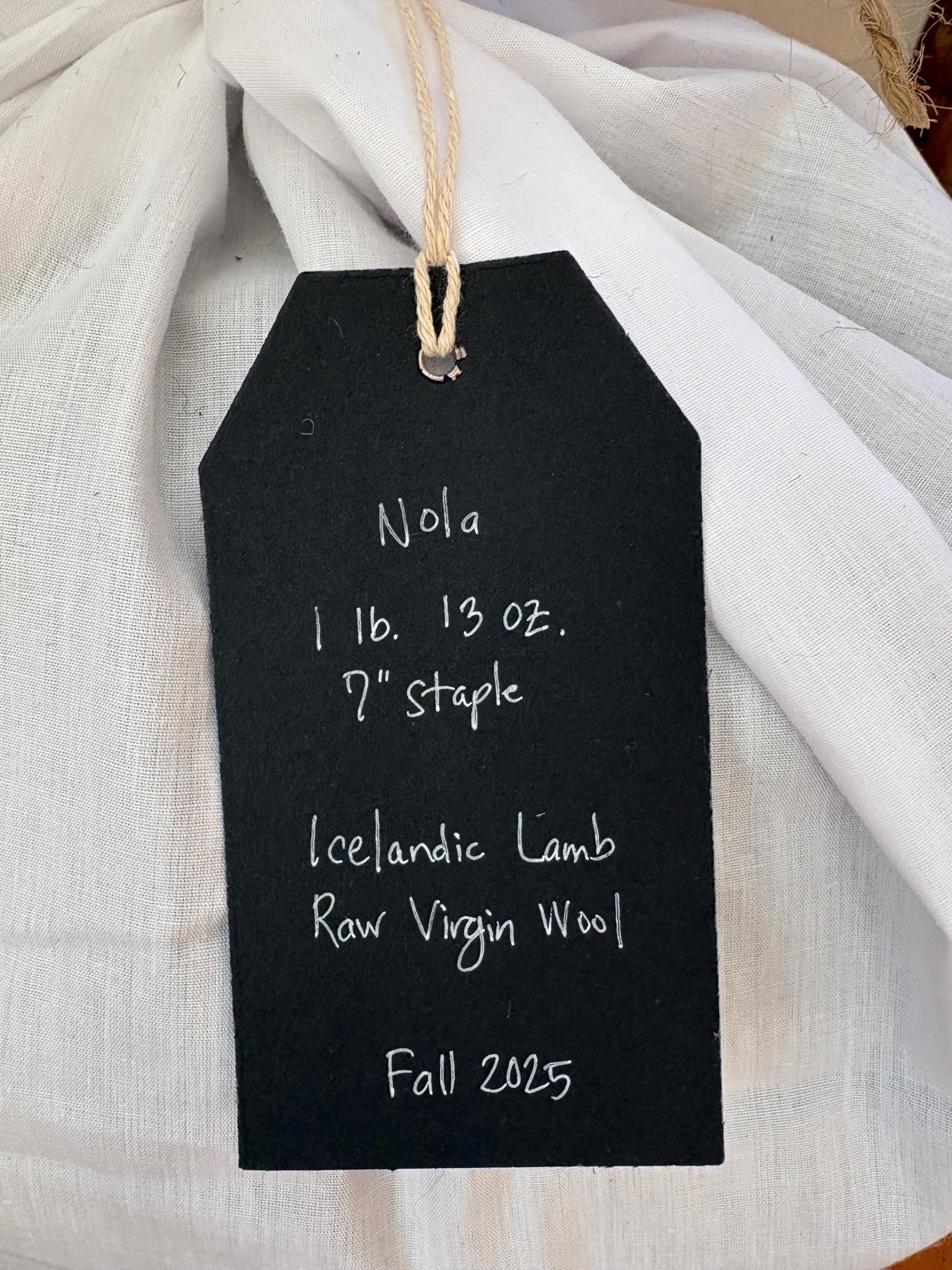 Icelandic Lamb Raw Wool Fleece (Fall Shearing)