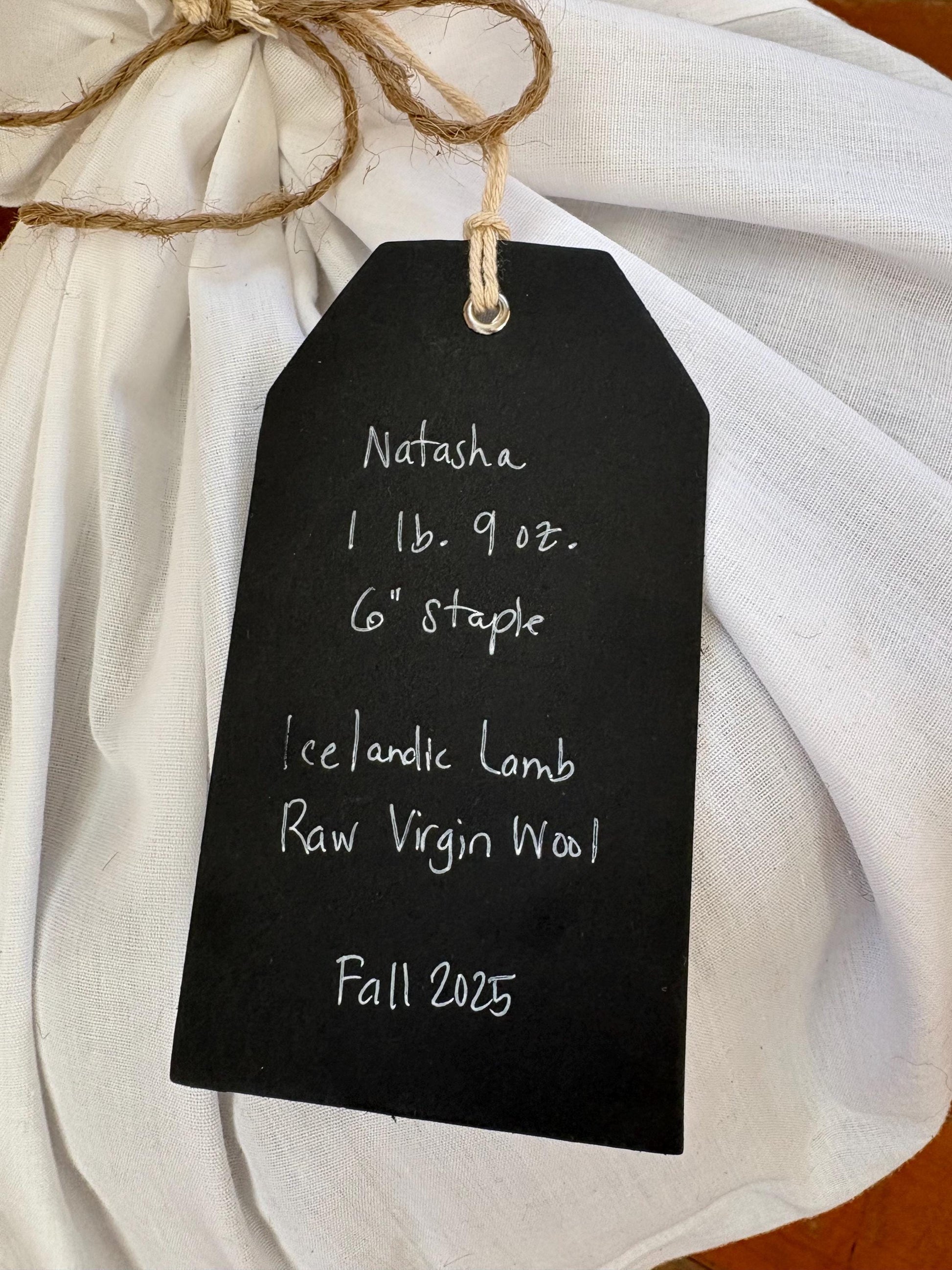 Icelandic Lamb Raw Wool Fleece (Fall Shearing)