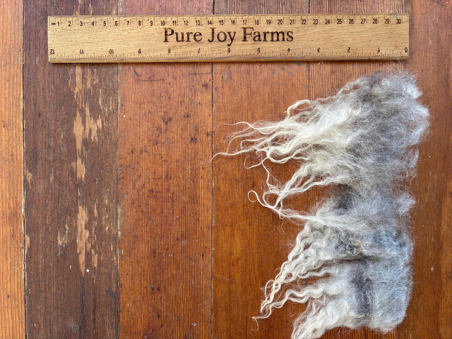 Icelandic Lamb Raw Wool Fleece (Fall Shearing)
