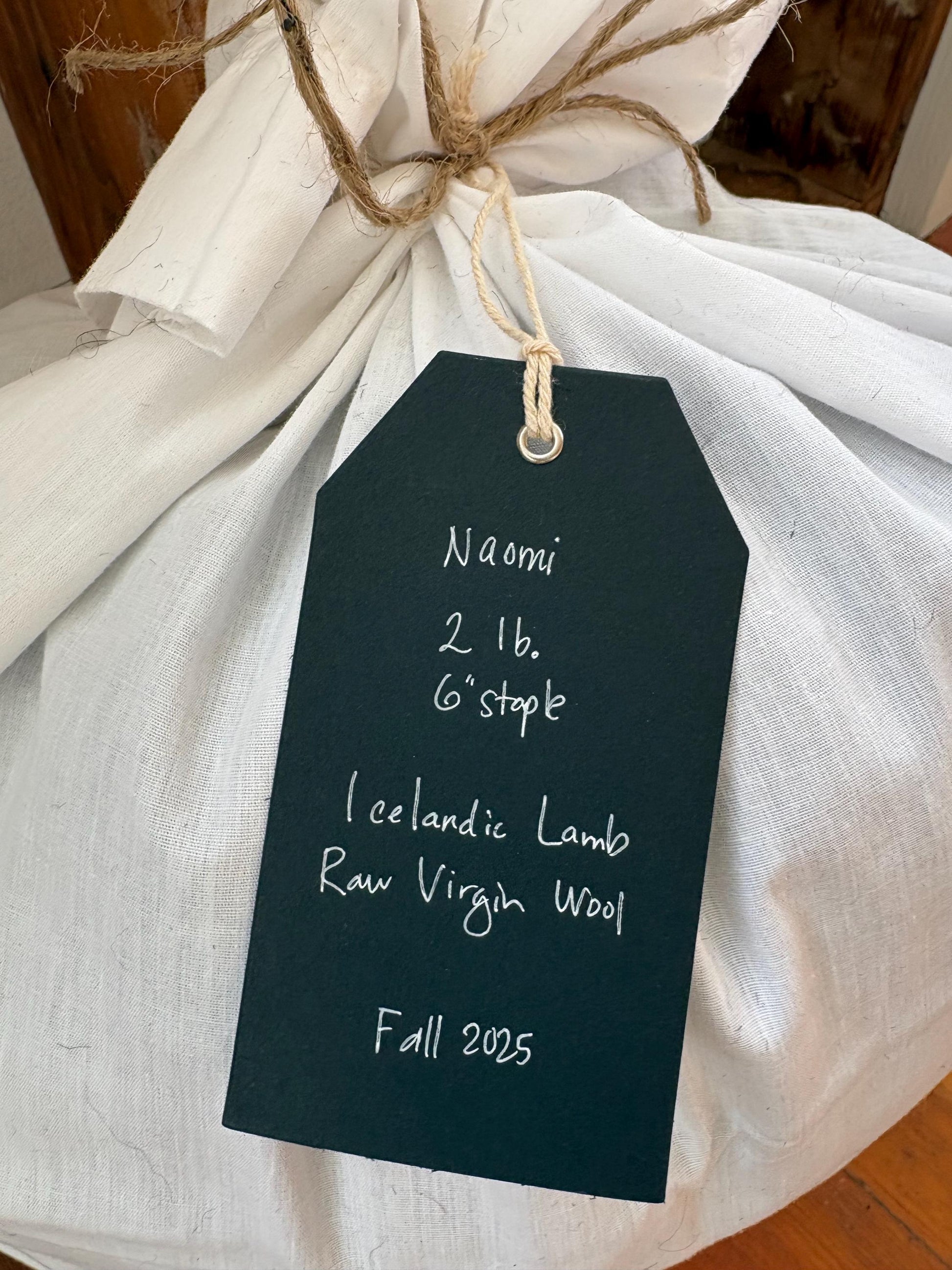 Icelandic Lamb Raw Wool Fleece (Fall Shearing)