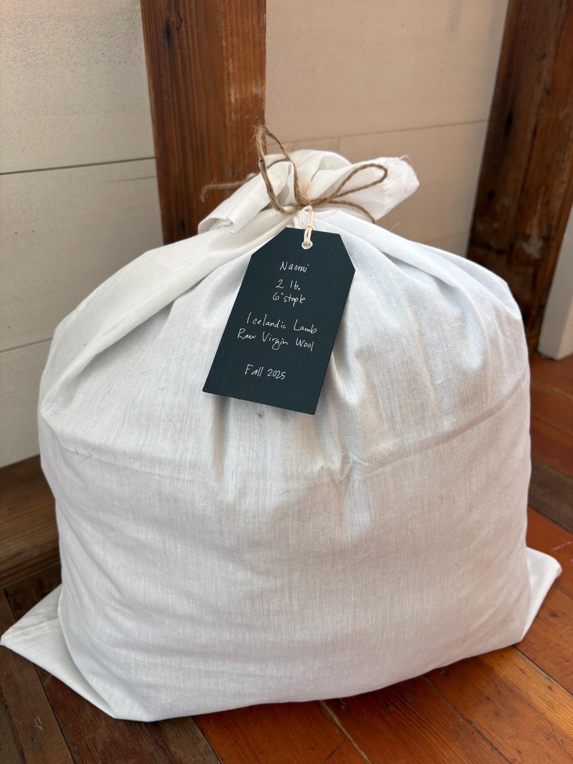 Icelandic Lamb Raw Wool Fleece (Fall Shearing)