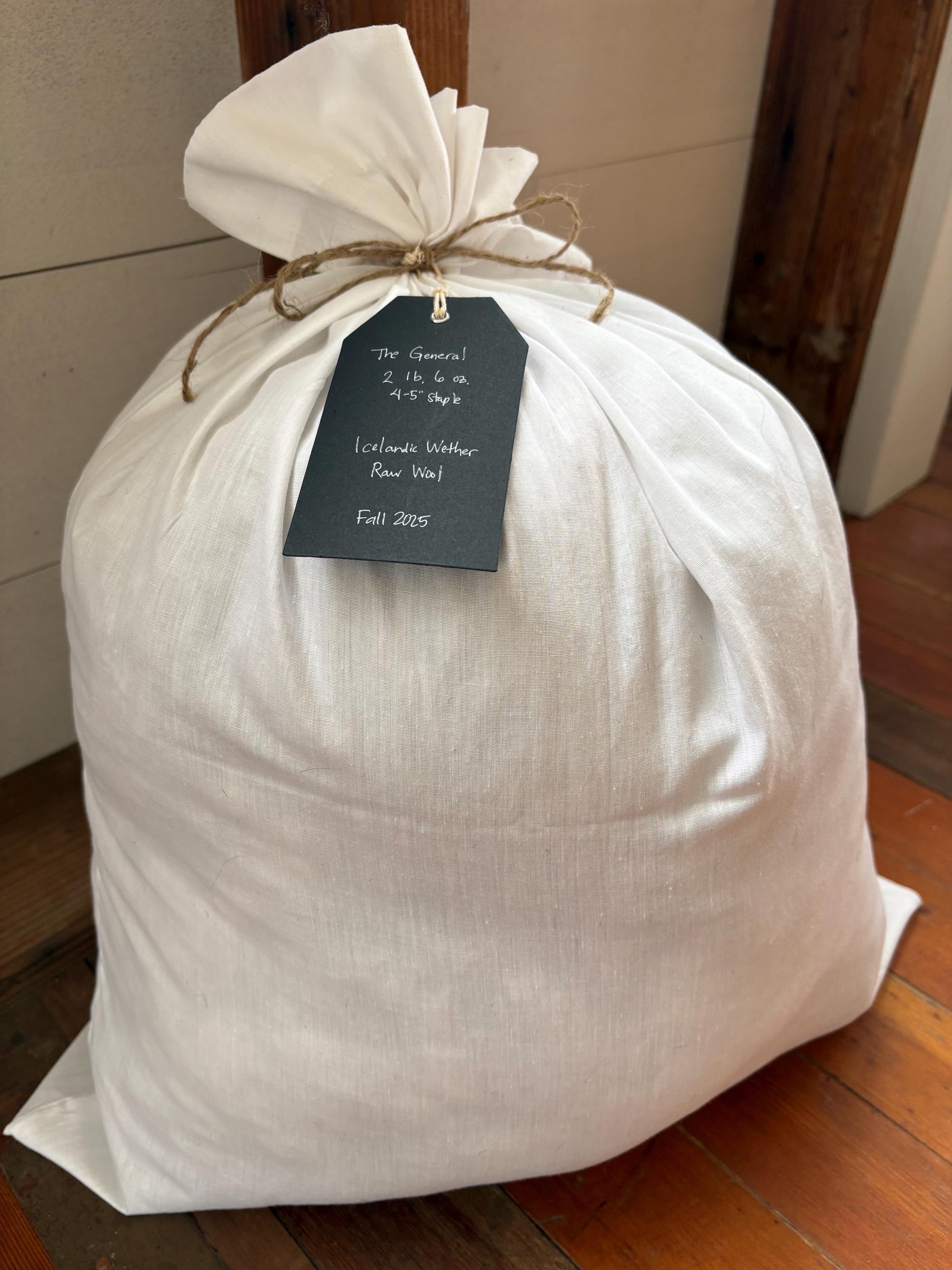 Icelandic Wether Raw Wool Fleece (Fall Shearing)