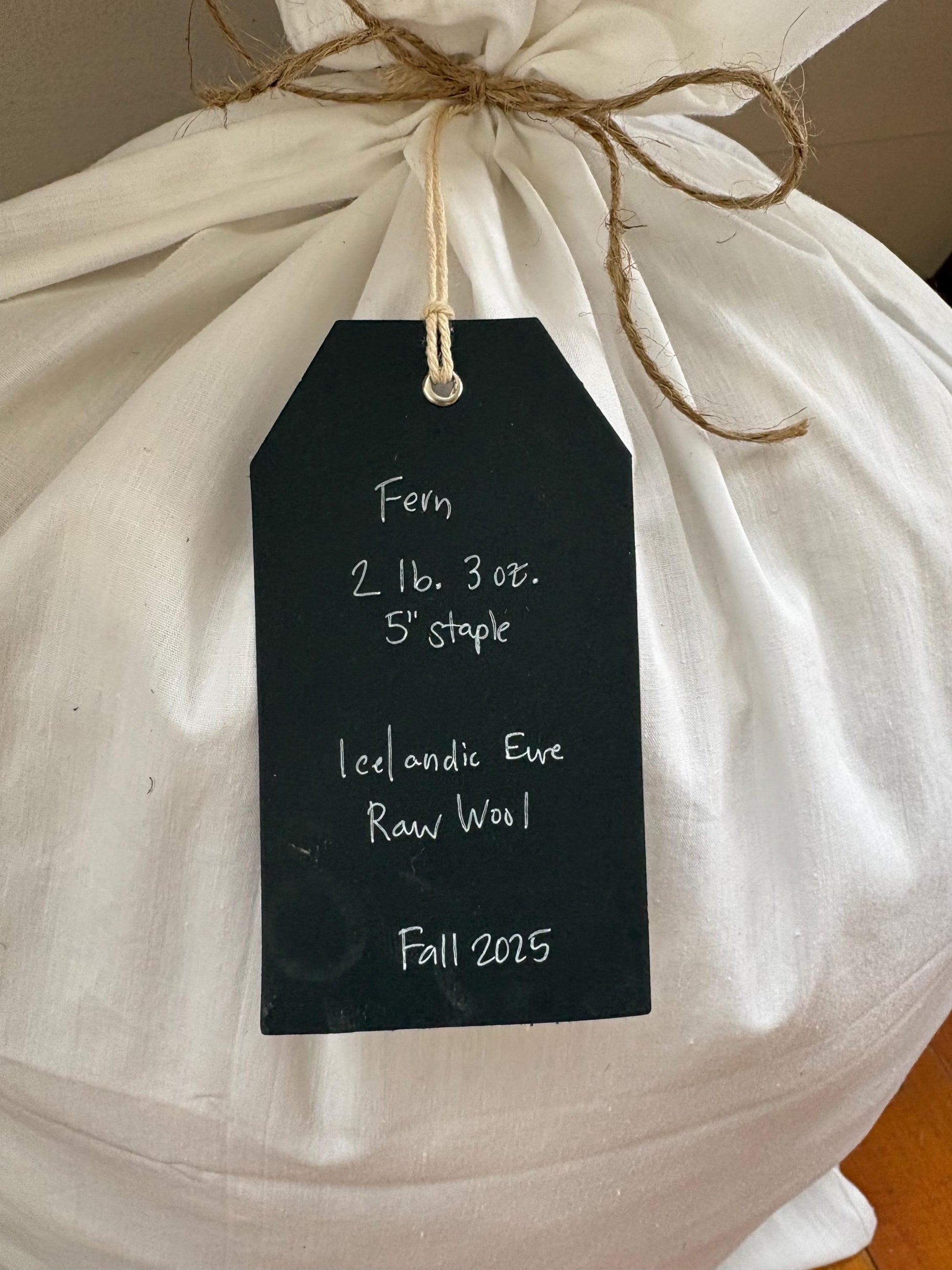 Icelandic Ewe Raw Wool Fleece (Fall Shearing)