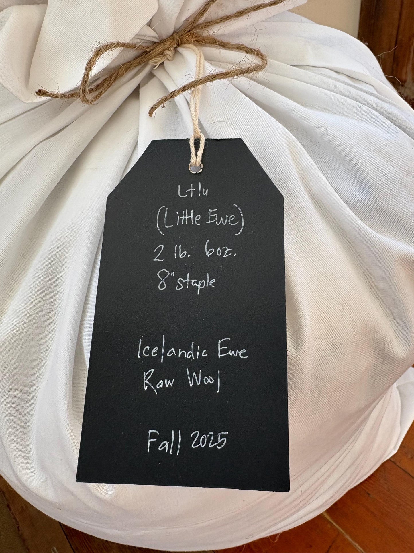 Icelandic Ewe Raw Wool Fleece (Fall Shearing)