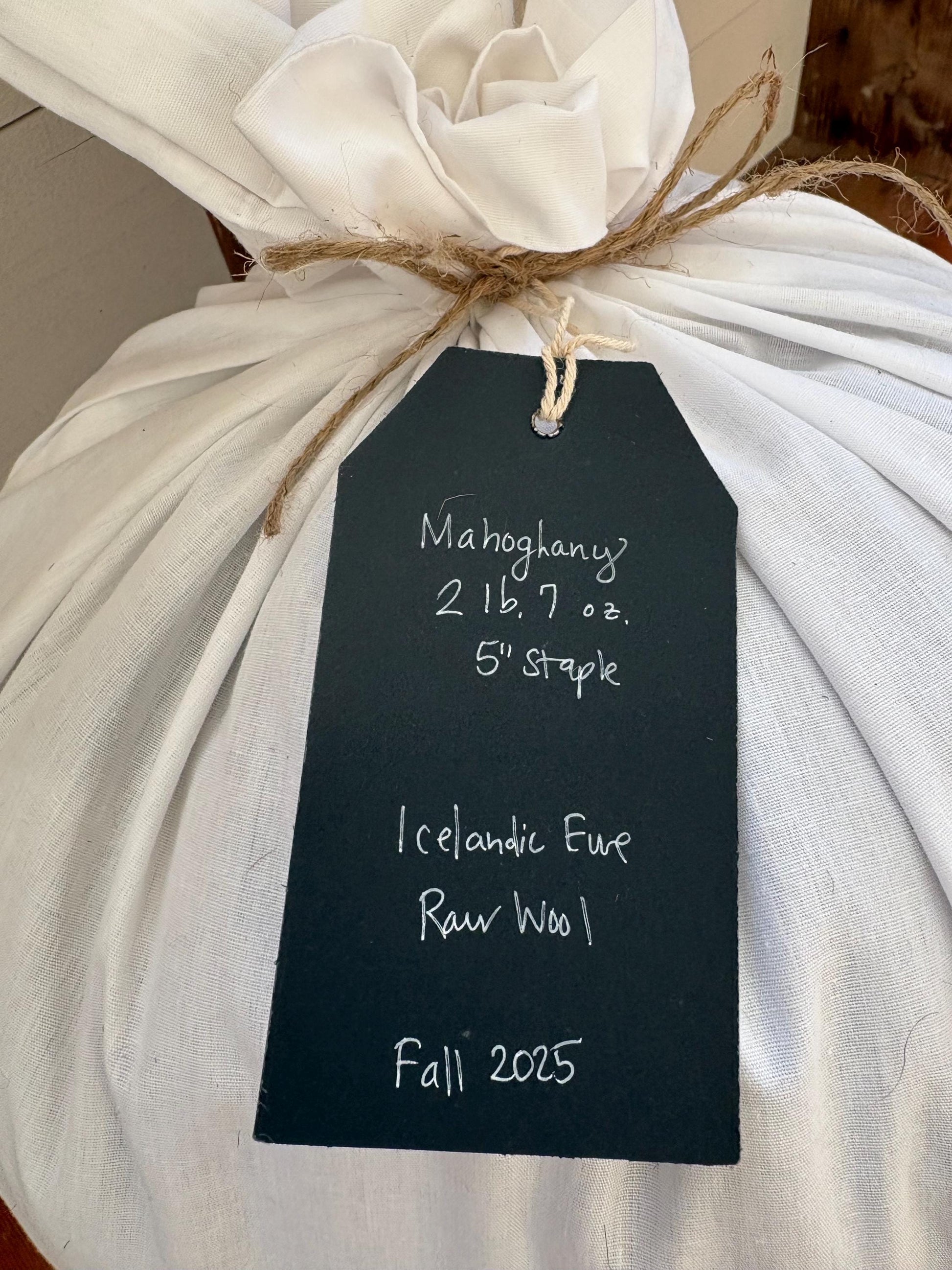 Icelandic Ewe Raw Wool Fleece (Fall Shearing)