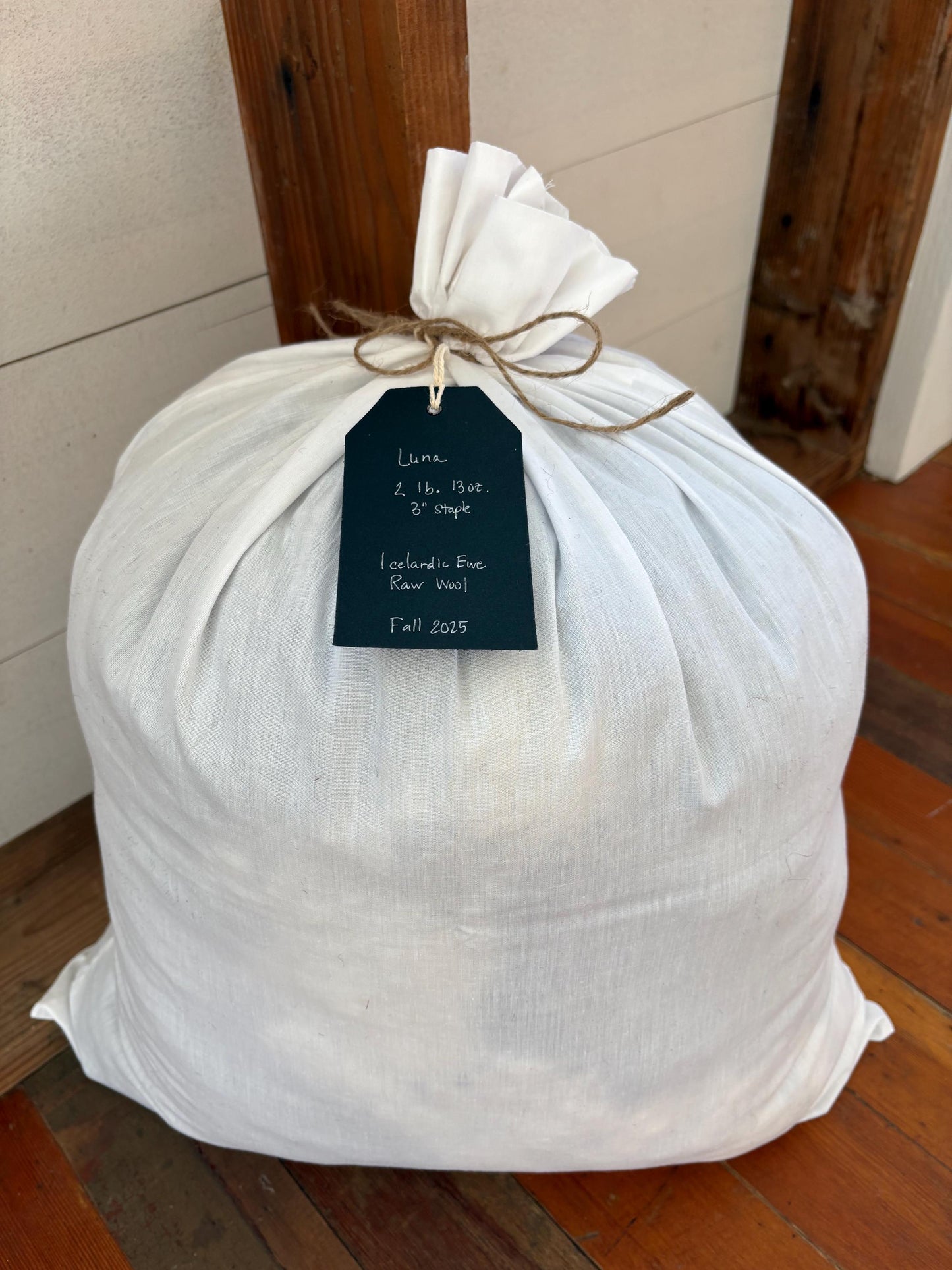 Icelandic Ewe Raw Wool Fleece (Fall Shearing)