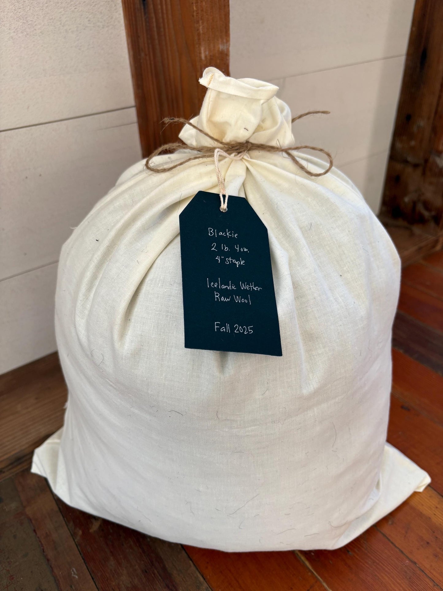 Icelandic Wether Raw Wool Fleece (Fall Shearing)