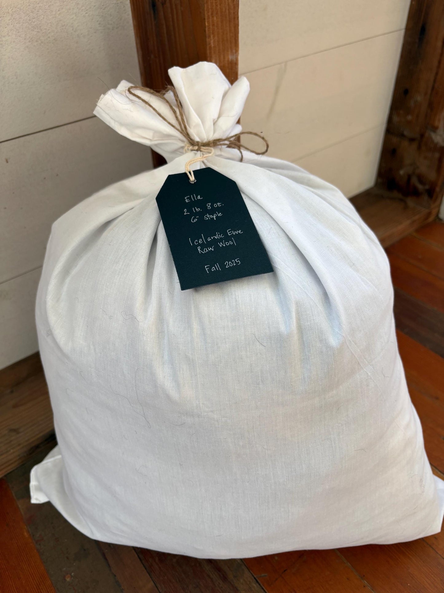 Icelandic Ewe Raw Wool Fleece (Fall Shearing)