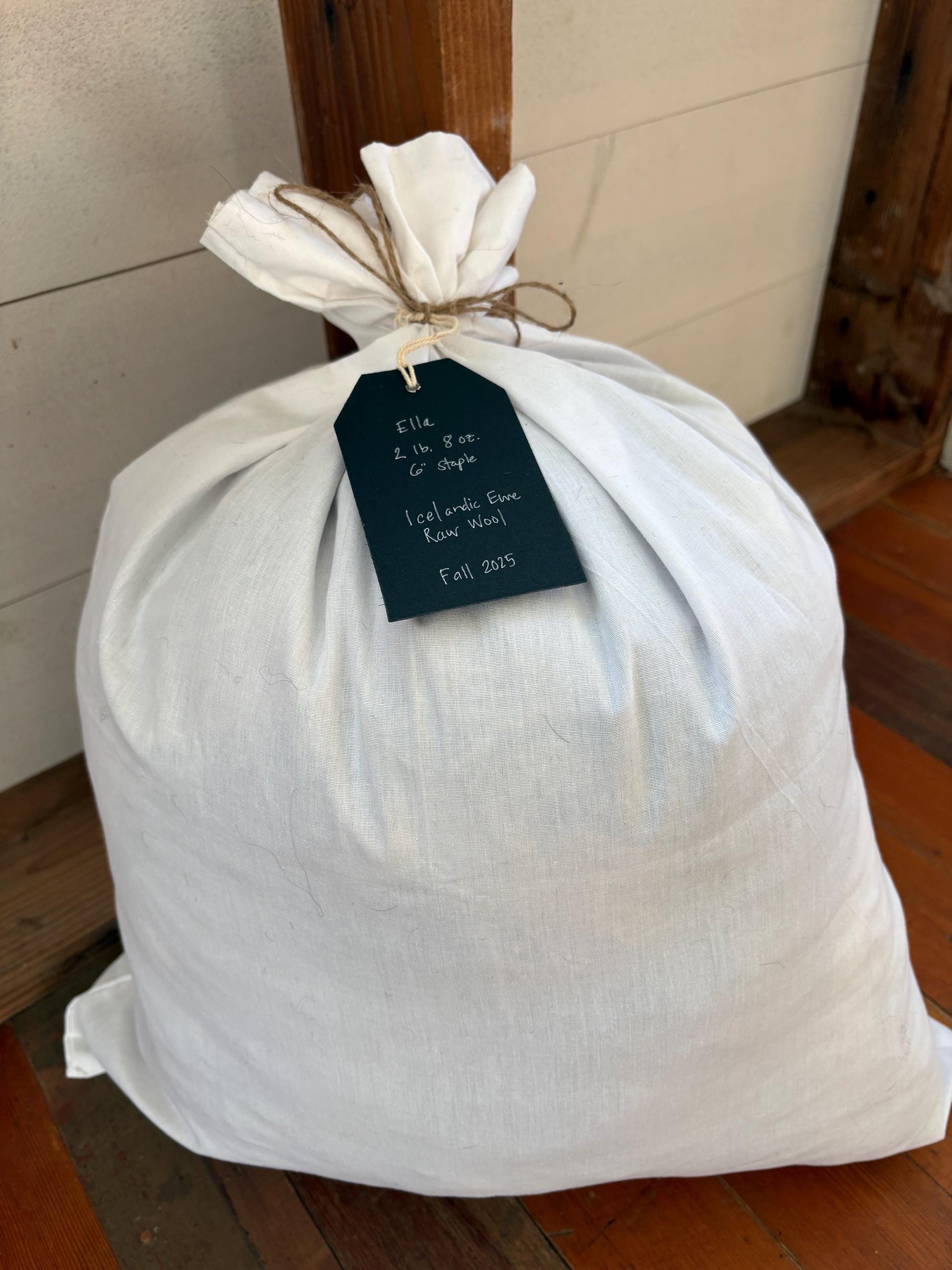 Icelandic Ewe Raw Wool Fleece (Fall Shearing)