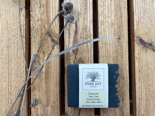 Charcoal Tea Tree Lavender Facial Soap (Oily Skin Formula)